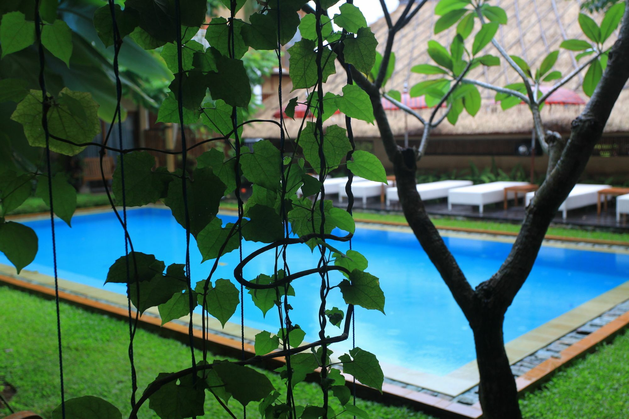 Hotel Puriartha - Chse Certified 3*